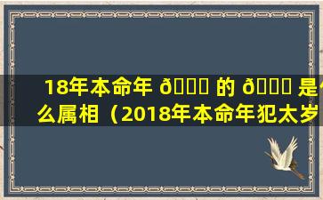 18年本命年 🍁 的 🐝 是什么属相（2018年本命年犯太岁生肖）